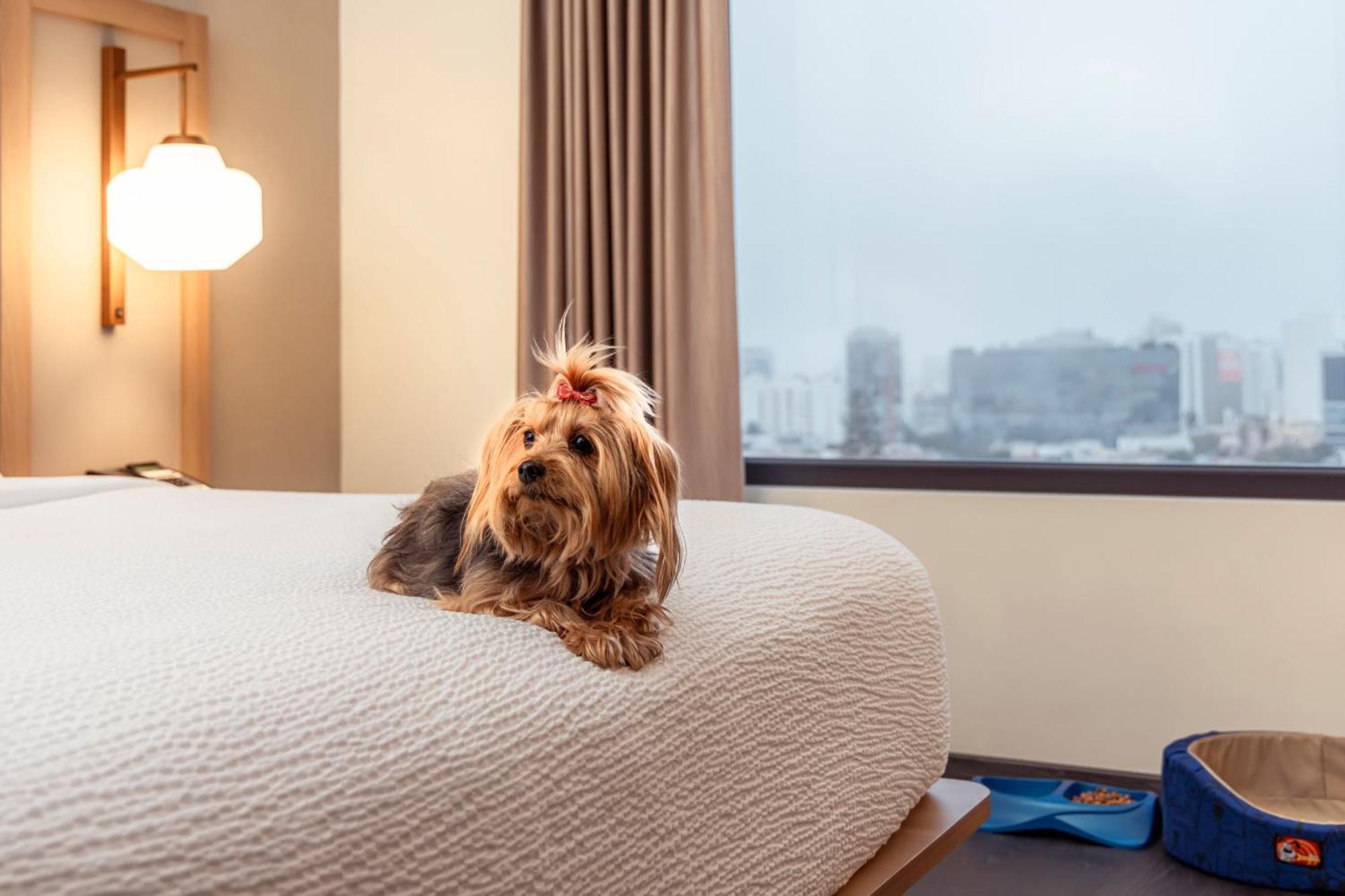 Fairfield By Marriott Lima Miraflores Экстерьер фото